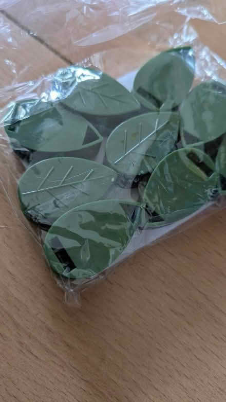 Photo of free Plastic leaf clips (about 20) (Dyke Road area BN3) #1