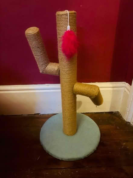 Photo of free Cat scratch post (Westbourne Grove M20) #1