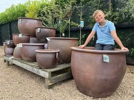 Photo of Large Plant Pots (CT12) #1