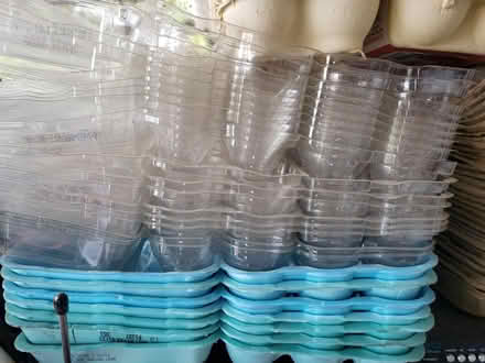 Photo of free Egg Cartons - All Kinds (Front Royal) #3