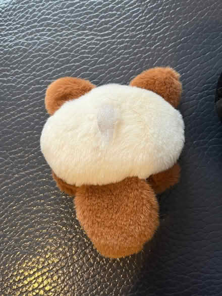 Photo of free Cat for craft & black cat plushie toy (New Eltham SE9) #3