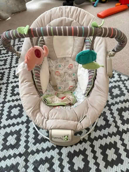Photo of free Baby bouncer (Bracknell harmans water) #1