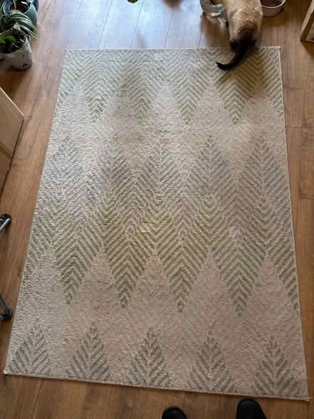 Photo of free 120 x 180 area rug (Limehouse E1) #1
