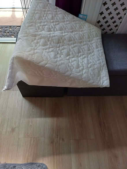 Photo of free Wedge pillow (Hollybush NP44) #1