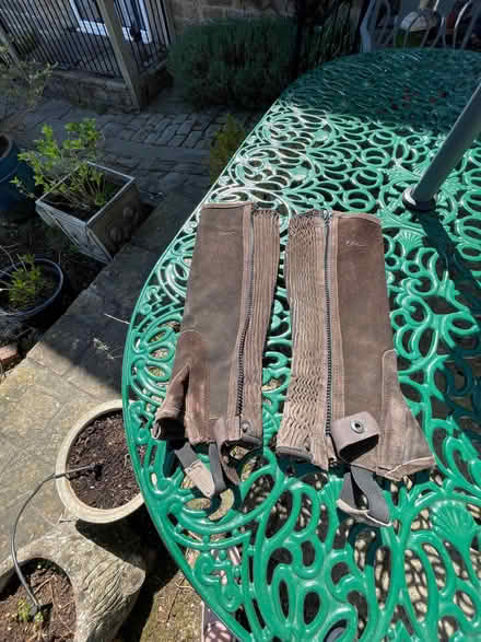 Photo of free Horse riding chaps (Storrs S6) #1