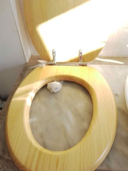 Photo of free Wooden Loo Seat (Shrewsbury) #1