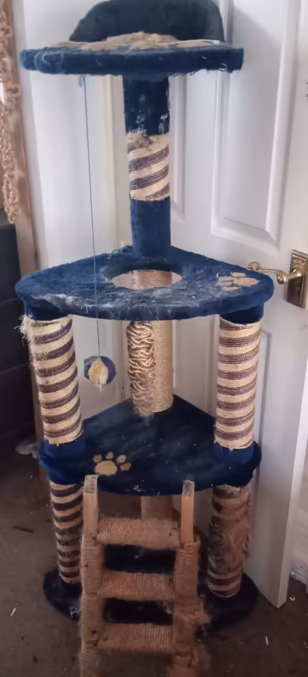 Photo of free Cat Tower & Scratching Post (Edgware HA8 9JN) #1