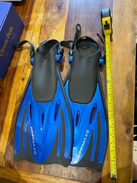 Photo of free Snorkelling Flippers (Queens Park W10) #1