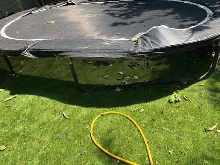 Photo of free Xl trampoline (Patcham) #4