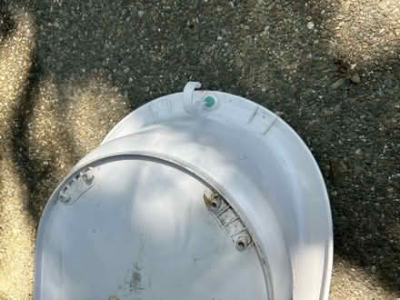 Photo of free Pet bath basin or large planter pot (Valencia Avenue, Sunnyvale) #4