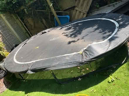 Photo of free Xl trampoline (Patcham) #3