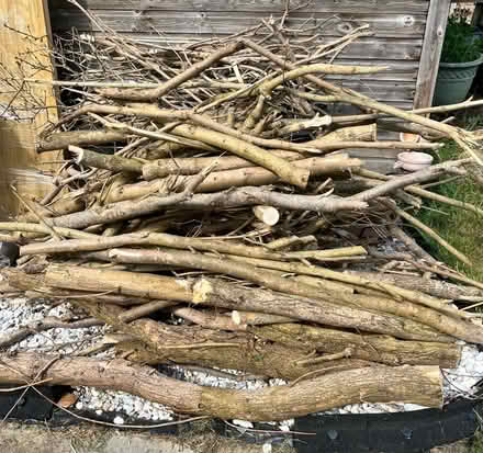 Photo of free Wood (branches) (Chells Manor SG2) #1