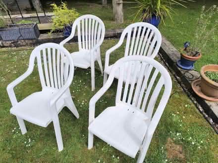 Photo of free 4 White plastic garden chairs (Reading RG2 (Shinfield Road)) #2