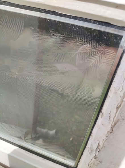 Photo of free Two glass panel doors (Kenton NE3) #3