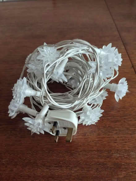 Photo of free Flower lights (Tottenham Hale N17) #1