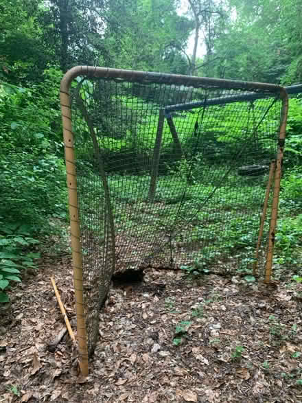 Photo of free Lacrosse Goal (Cleveland Park) #3