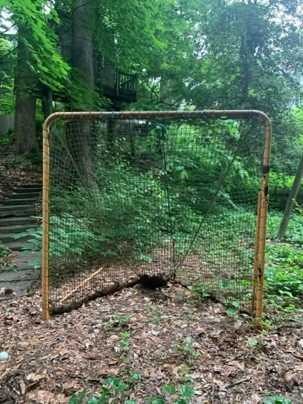 Photo of free Lacrosse Goal (Cleveland Park) #2