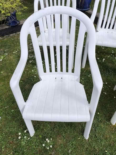 Photo of free 4 White plastic garden chairs (Reading RG2 (Shinfield Road)) #1