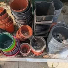 Photo of free Assorted flowerpots (Seaside BN22) #1