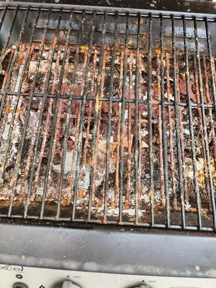 Photo of free Gas grill (Shadwell E1) #4