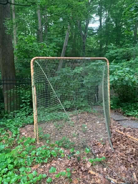 Photo of free Lacrosse Goal (Cleveland Park) #1