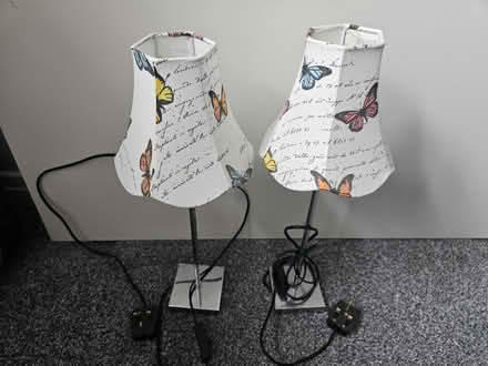 Photo of free Butterfly Lamp (Heckmondwike) #1
