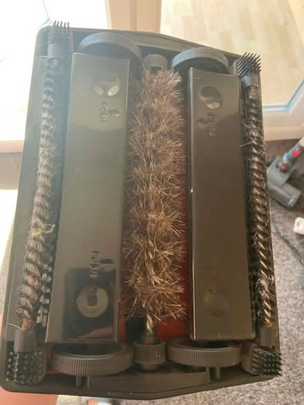 Photo of free Carpet brusher (WN7) #3