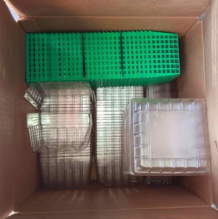 Photo of free Berry Boxes/baskets (City of Chelsea) #1