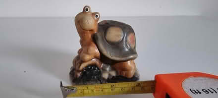 Photo of free Wine lover dog and a drunk turtle (Bowerdean, HP13) #3