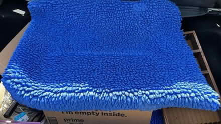 Photo of free Bed mat for incontinent pet (Fairfax, Deer Park area) #1