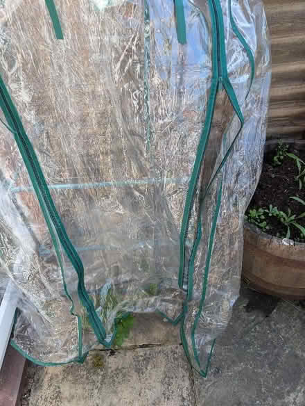 Photo of free Cover for a 4 tier greenhouse (Wokingham RG41) #1