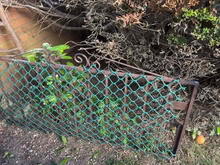 Photo of free Gate (Bray) #1