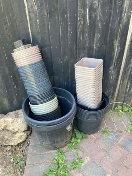 Photo of free Plastic plant pots (N6 6QX) #1
