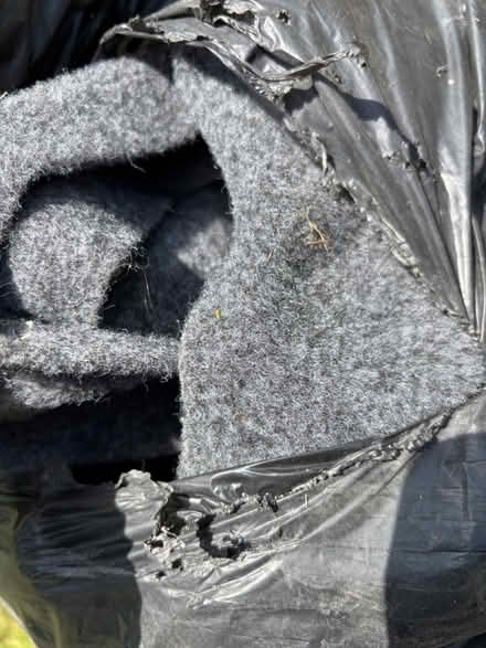 Photo of free Automotive carpet (GL53) #3