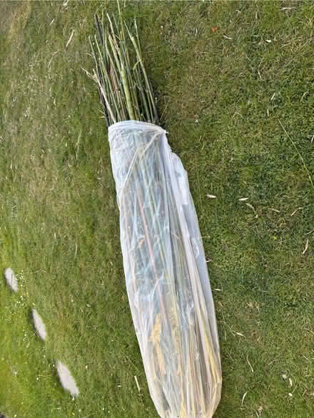 Photo of free Bamboo canes (Welling DA16) #3