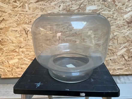 Photo of free Goldfish Bowl (Pyrford GU22) #1