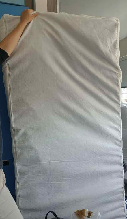 Photo of free Single mattress topper (Kennington OX14) #2