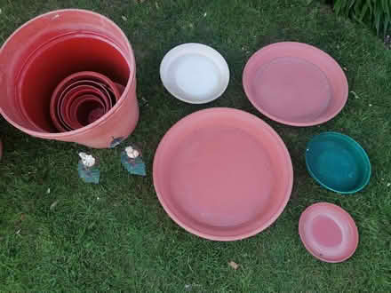 Photo of free Garten Pots & Trays, Various items (Easington OX16) #4