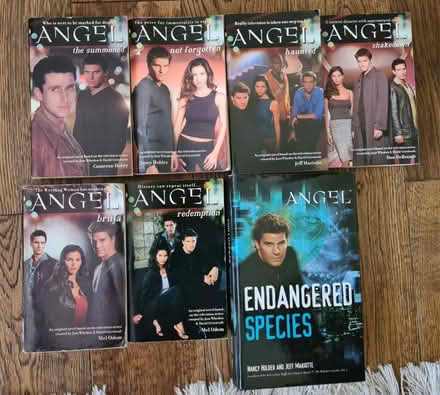 Photo of free Angel series books (Canary Wharf) #1