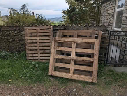Photo of free Pallets (Skelsmergh LA8) #1
