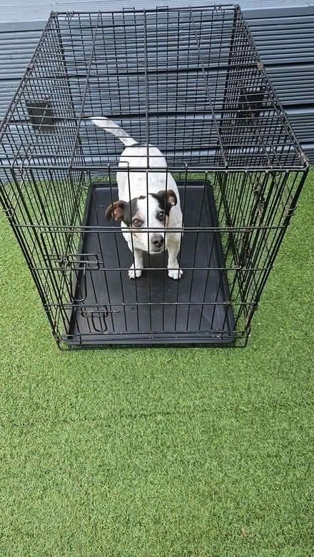 Photo of free Dog crate (Haydock) #1
