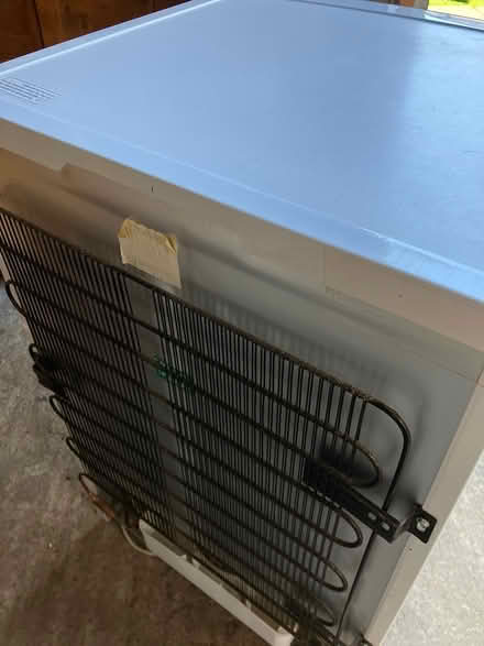 Photo of free Beko Fridge (Gobowen) #3