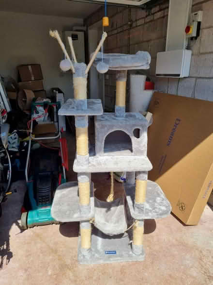 Photo of free Cat tree (Cottam, PR4) #1