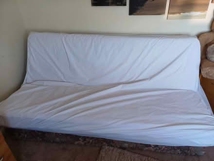 Photo of free Folding sofa bed (Lavant, Chichester) #1