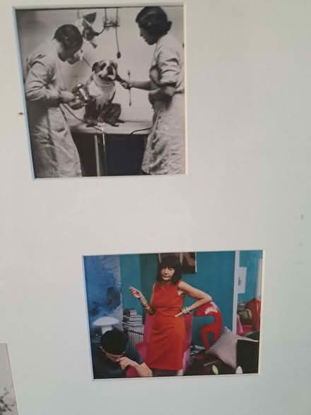 Photo of free Framed Postcards (Alexandra Park N11) #2