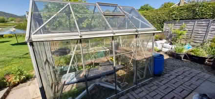 Photo of free Greenhouse (Bucknell SY7) #1