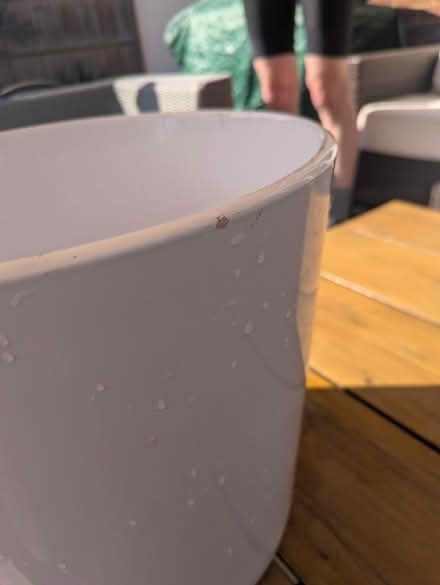 Photo of free Large white ceramic plant pot (Raynes Park SW20) #2