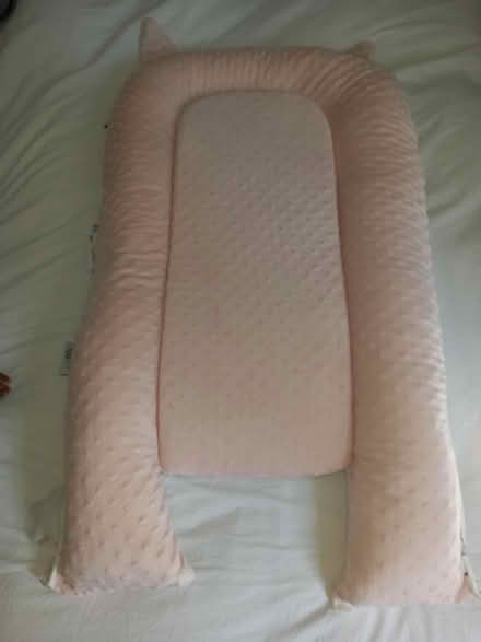 Photo of free Pink nest (Chadderton OL9) #1