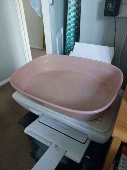 Photo of free basic cat litter tray (Glasshouses HG3) #1
