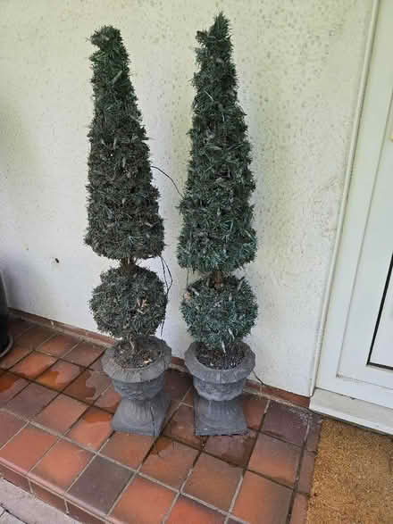Photo of free Garden decorations - lit trees (Morley DE21) #1
